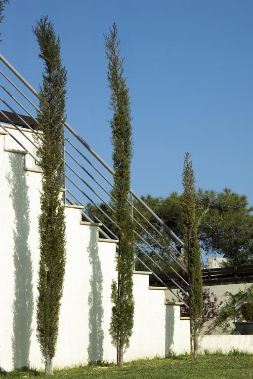 Villa Vikla Pissouri Exteriör bild